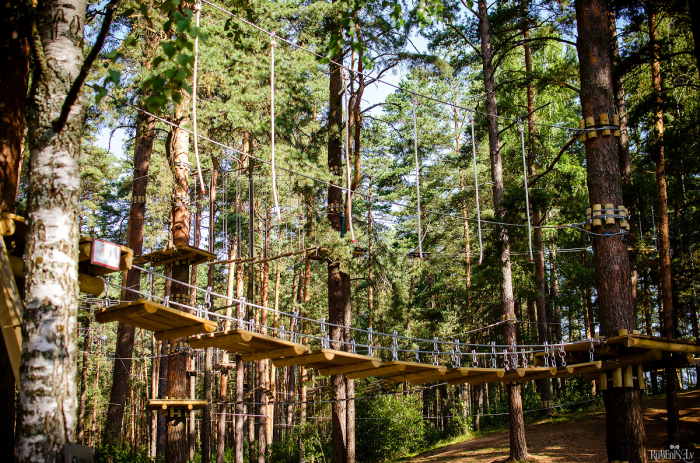 Tarzan parks are closed. See you next year!