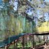 В  Даугавпилском парке приключений Тарзан открыли трассу Сетей!